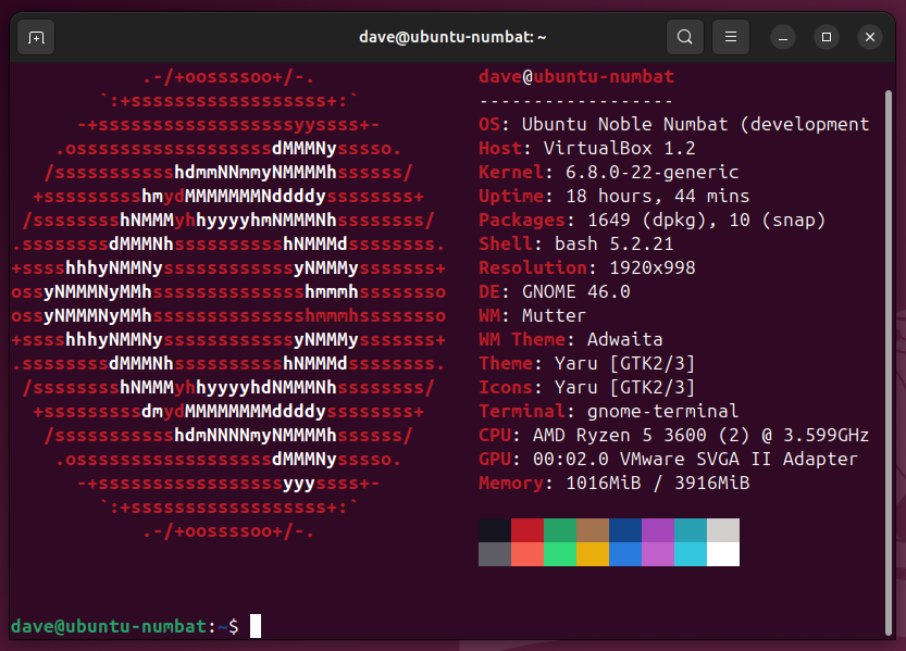 Neofetch output in an Ubuntu 24.04 terminal window