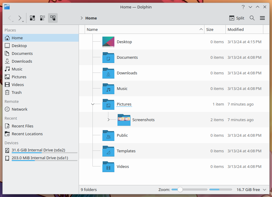 The KDE Plasma Dolphin file browser in detail View