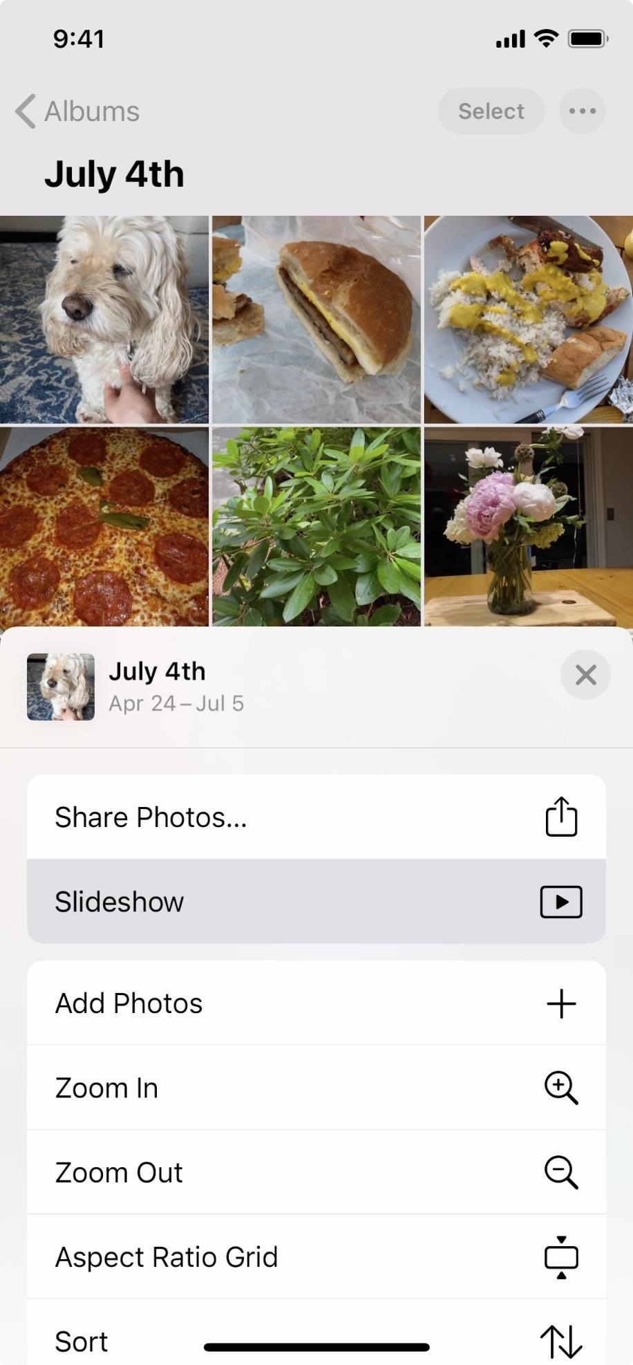 13 Exciting New Features in Apple Photos for iOS 14