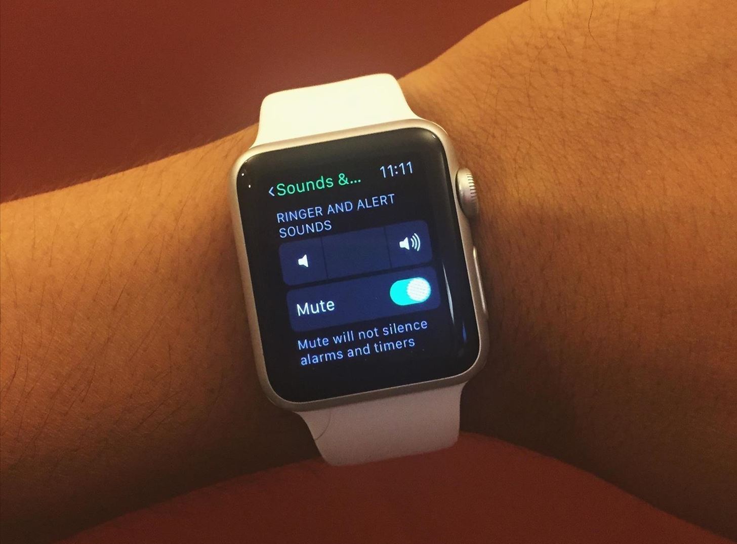 13 Ways to Extend & Save Battery Life on Your Apple Watch