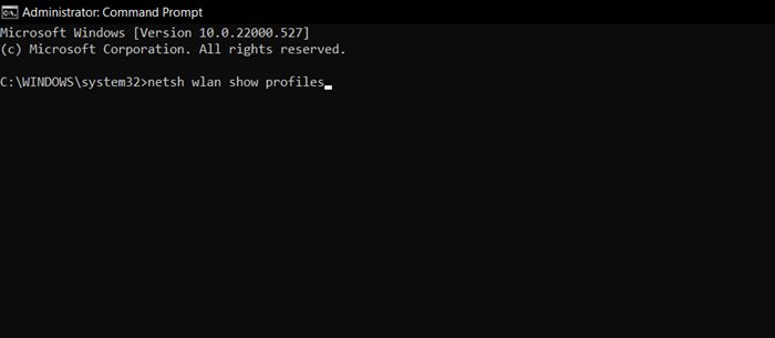 netsh wlan show profiles