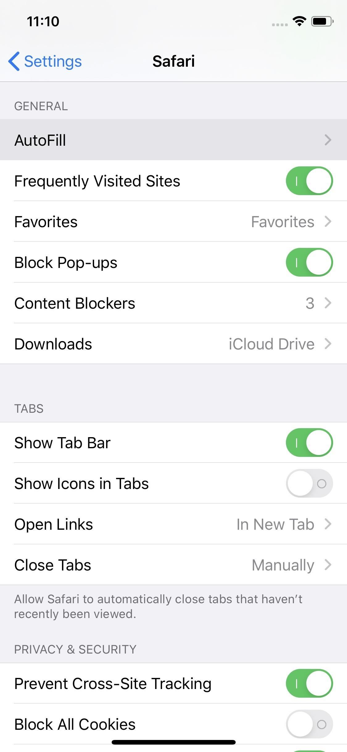 24 Safari Privacy Settings You Need to Check on Your iPhone