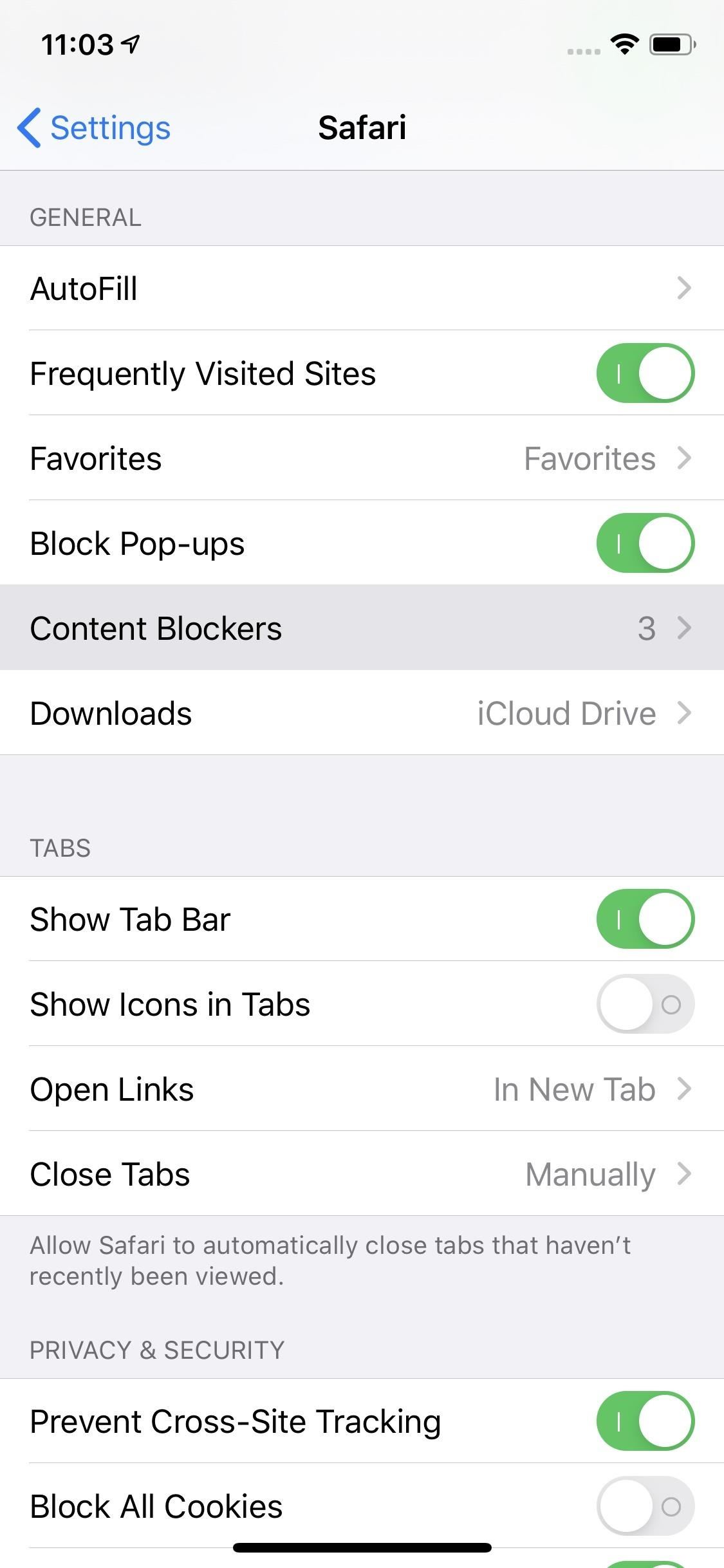 24 Safari Privacy Settings You Need to Check on Your iPhone