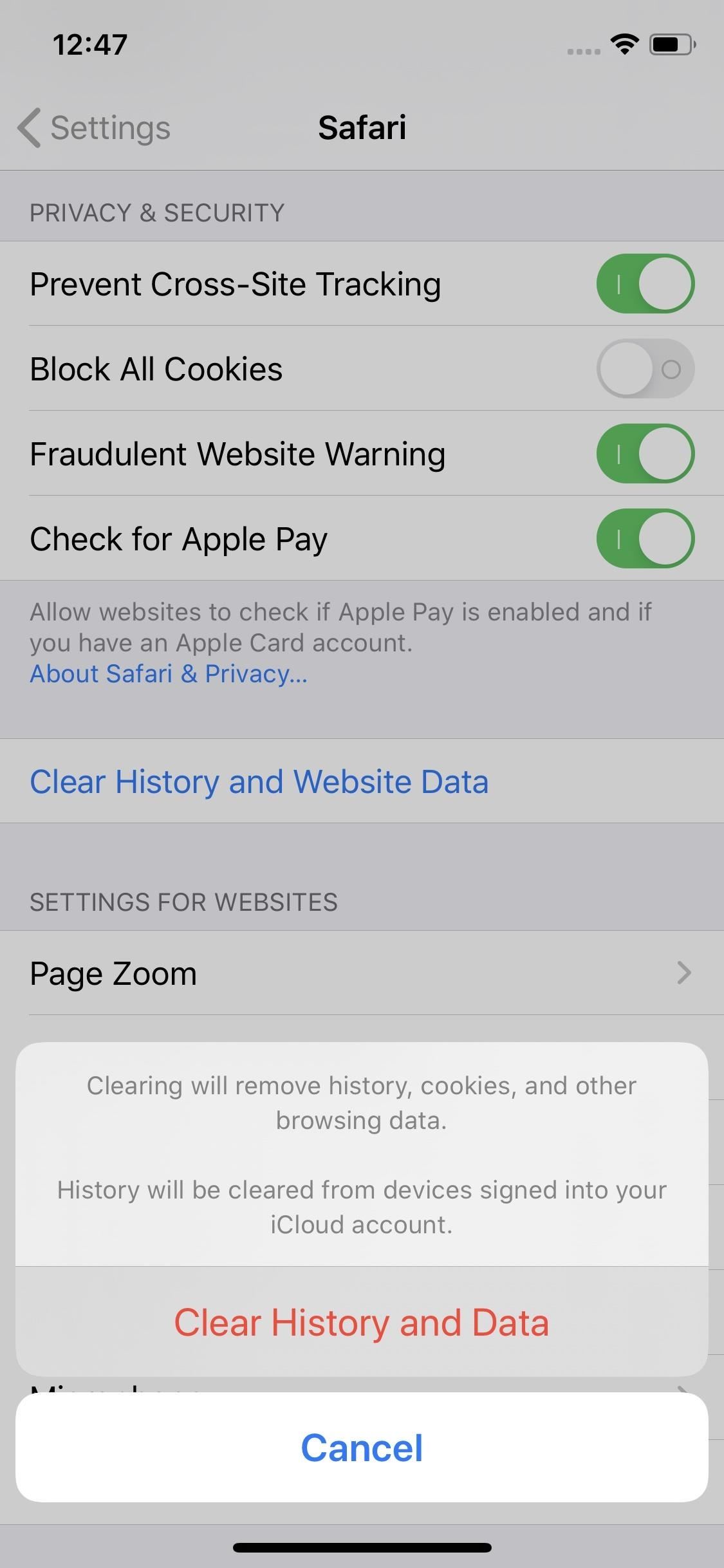 24 Safari Privacy Settings You Need to Check on Your iPhone