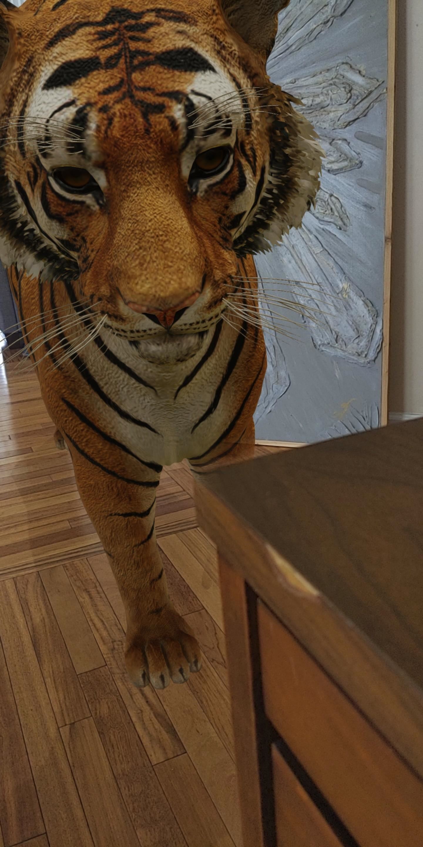 6 Ways to Try Google's Next-Gen AR Experience on Android Right Now