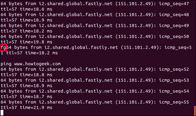 fg command mixed in with the output from ping in a terminal window