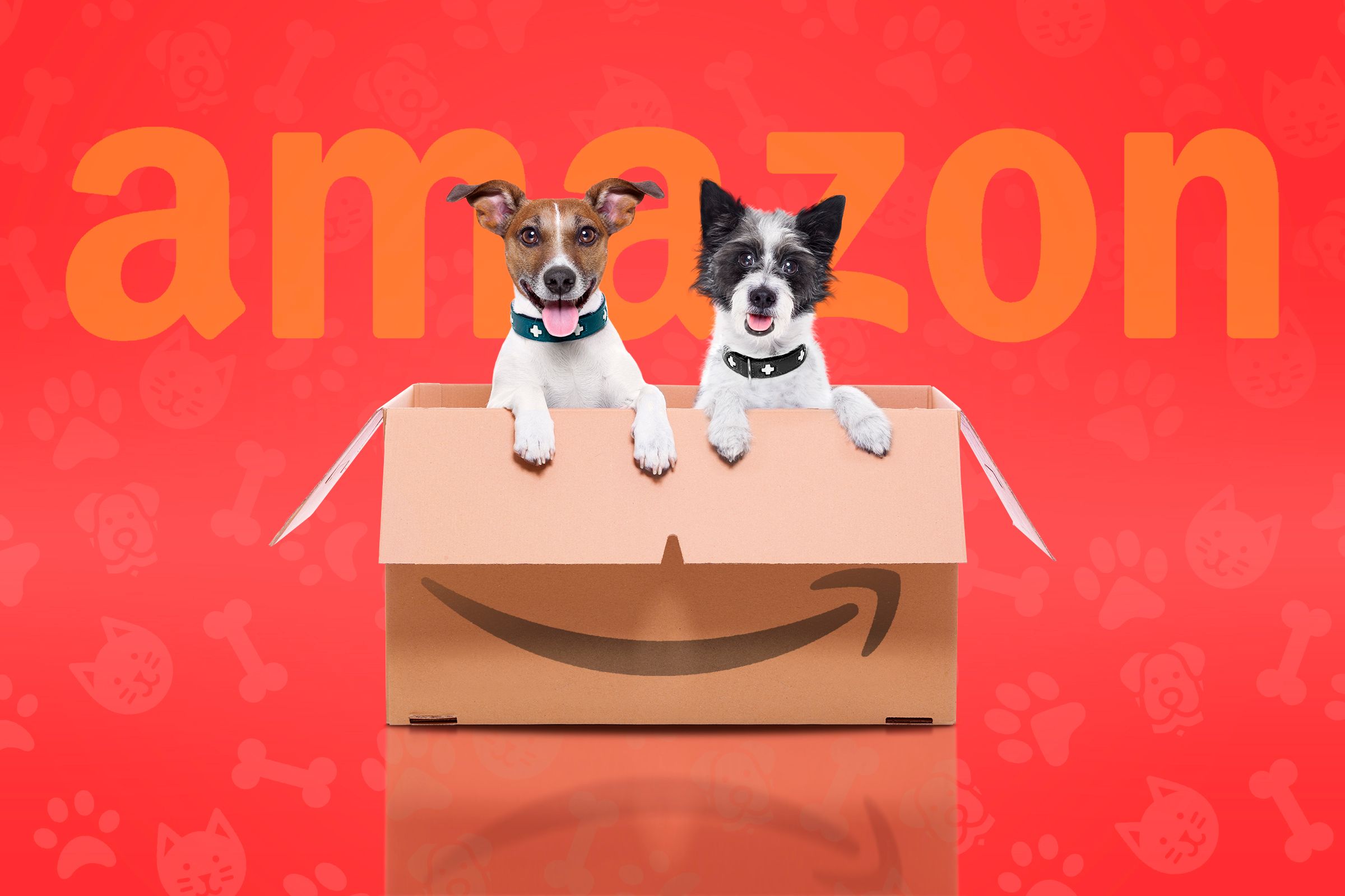 A cardboard box with two dogs inside and the Amazon logo