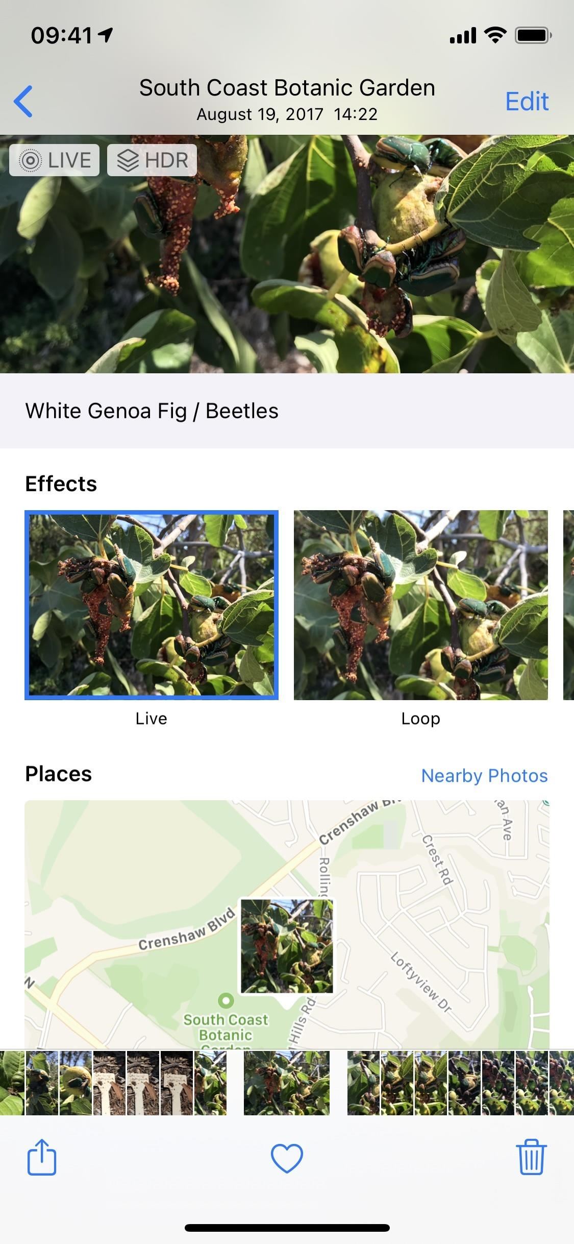 How to Add Captions to Photos & Videos in iOS 14 to Make Searching by Metadata Easier