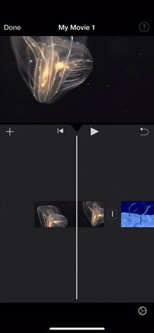 How to Add Filters to Individual Video Clips or Your Whole Entire Project in iMovie for iPhone