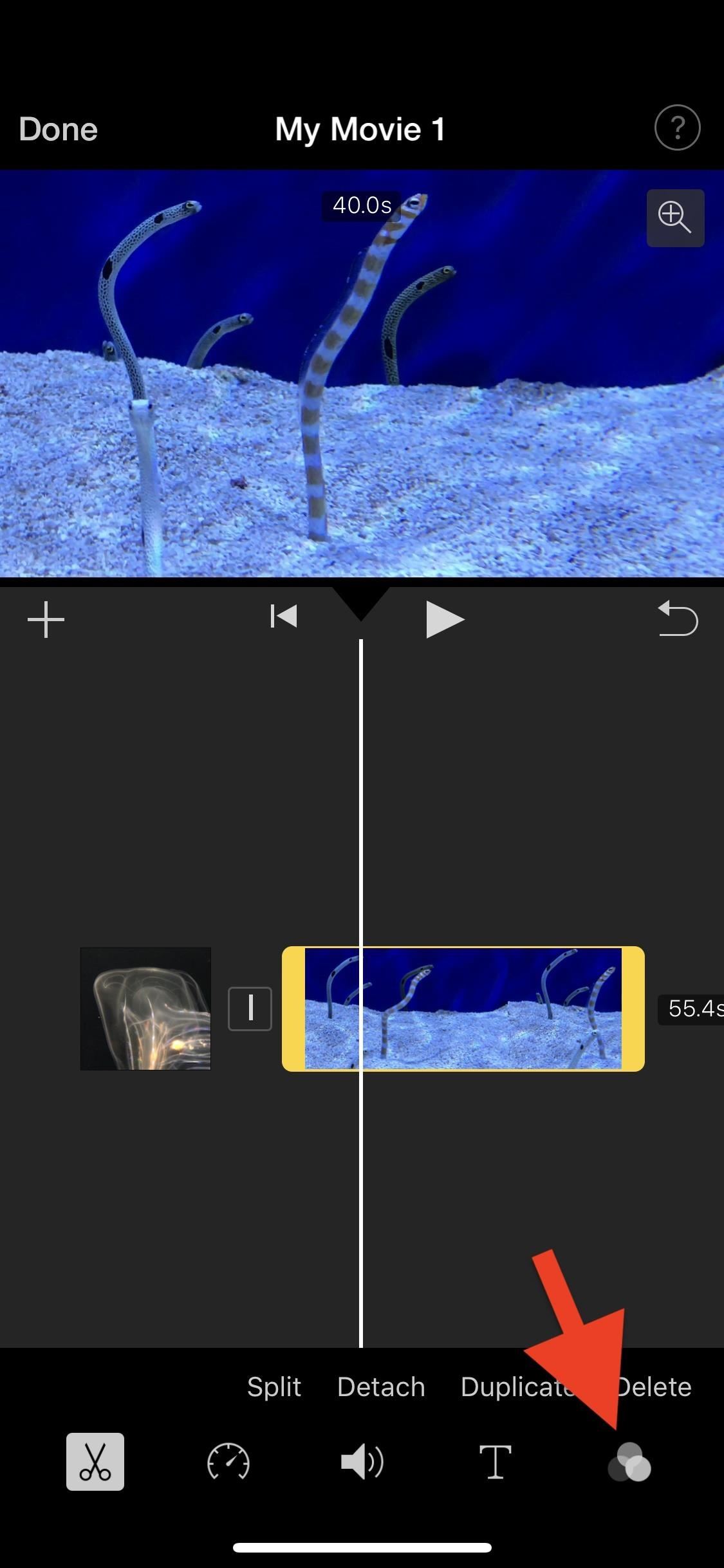 How to Add Filters to Individual Video Clips or Your Whole Entire Project in iMovie for iPhone