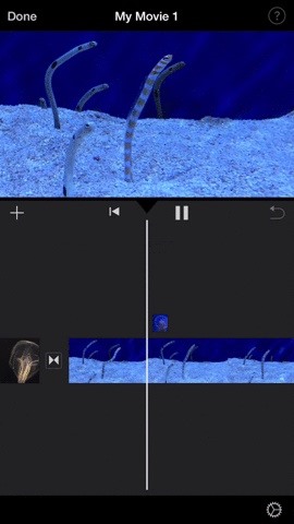 How to Add More Video Clips to iMovie Projects on Your iPhone