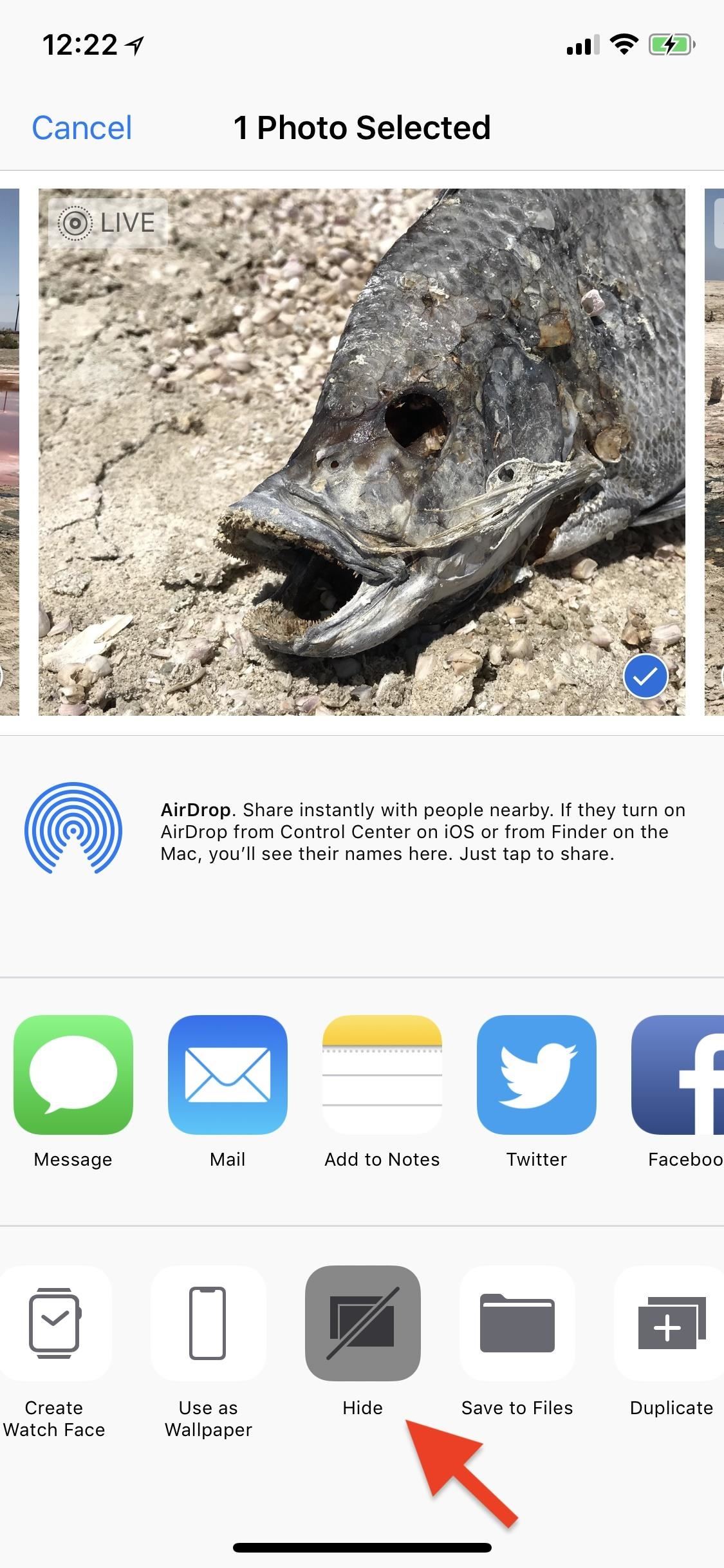 Apple Photos 101: How to Hide Images & Videos from Your iPhone's Camera Roll