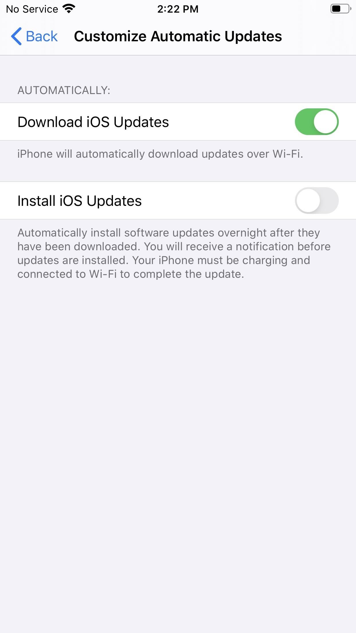 Apple's iOS 13.6 Developer Beta 2 for iPhone Includes Option to Automatically Download New Updates