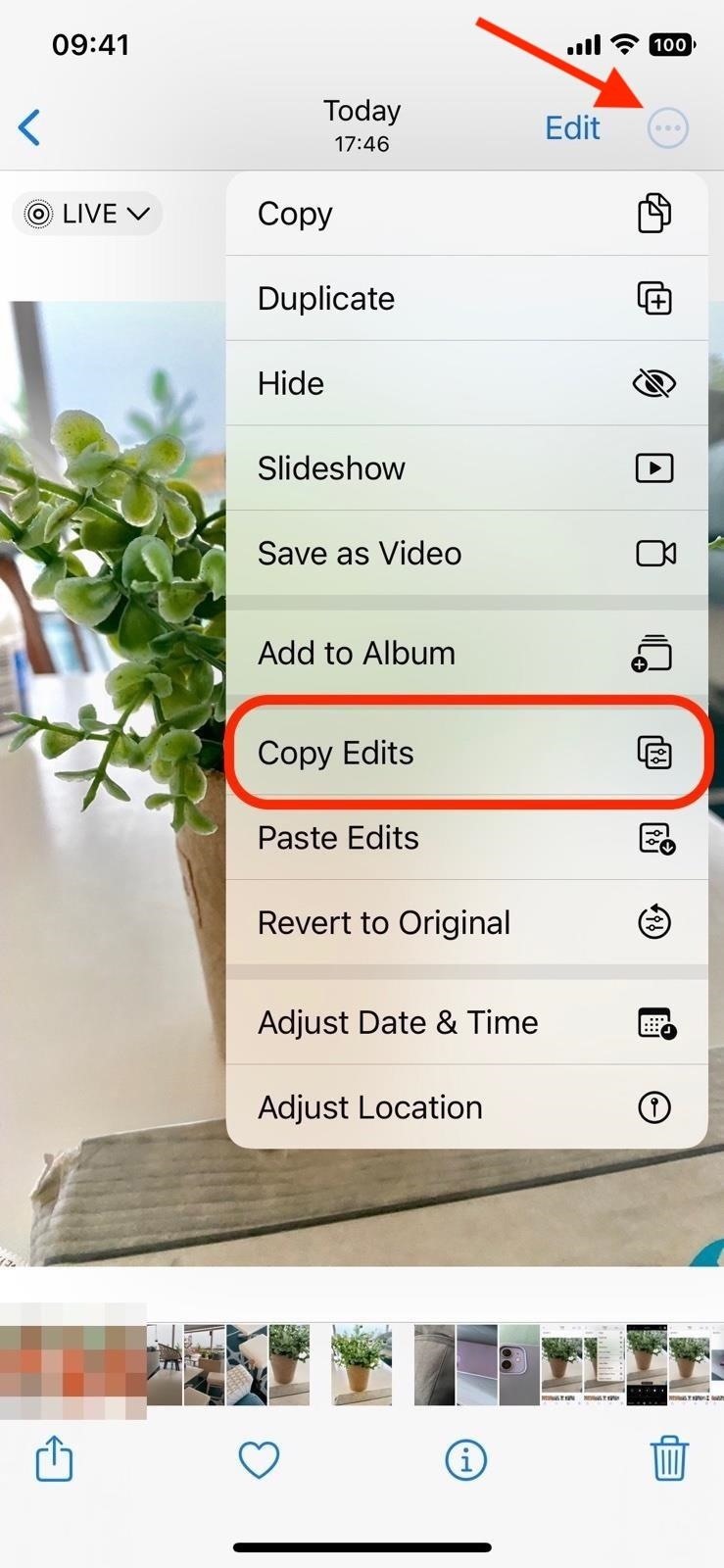 Batch Editing Photos and Videos on Your iPhone Just Got Way Easier