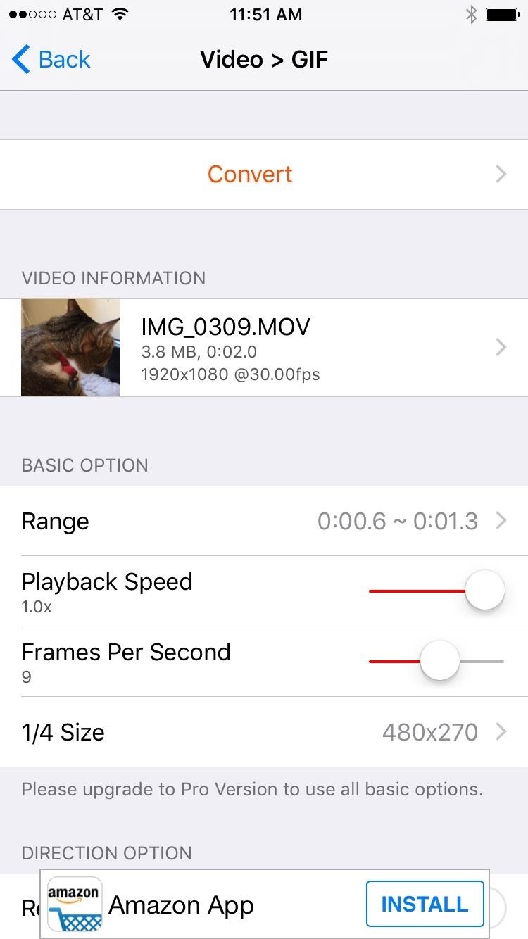 The Best Way to Make GIFs Out of Anything on Your iPhone