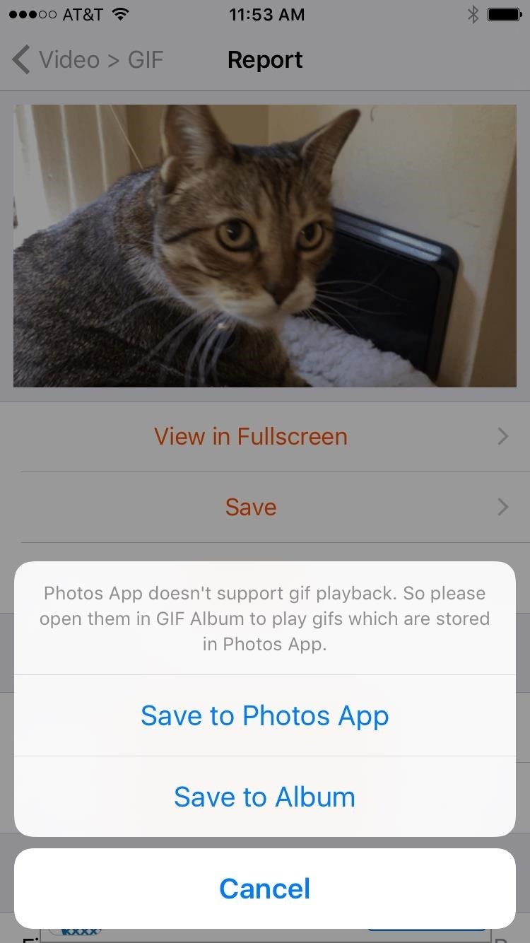 The Best Way to Make GIFs Out of Anything on Your iPhone