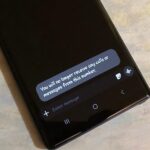 Don’t Wait for the Pixel 9, Buy the Pixel 8a instead