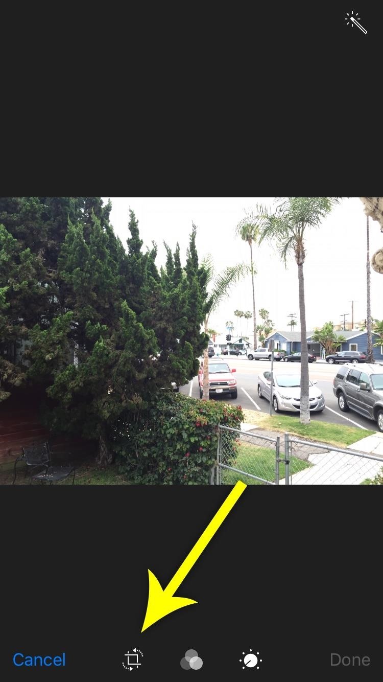 This Bug Lets You Bypass Zoom Restrictions on Your iPhone Photos