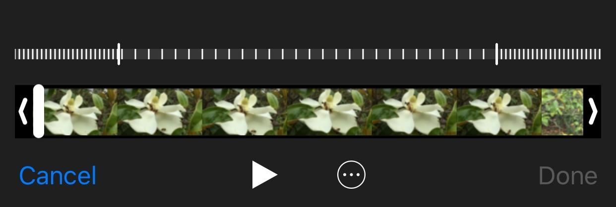 Convert Slo-Mo Videos to Regular Speed Directly on Your iPhone