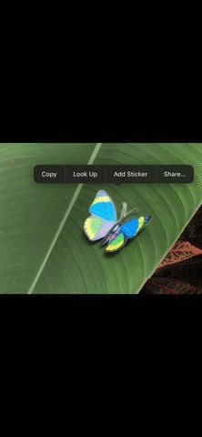 Create Still or Animated Live Stickers from Your iPhone Photos to Use in Messages, Notes, and More