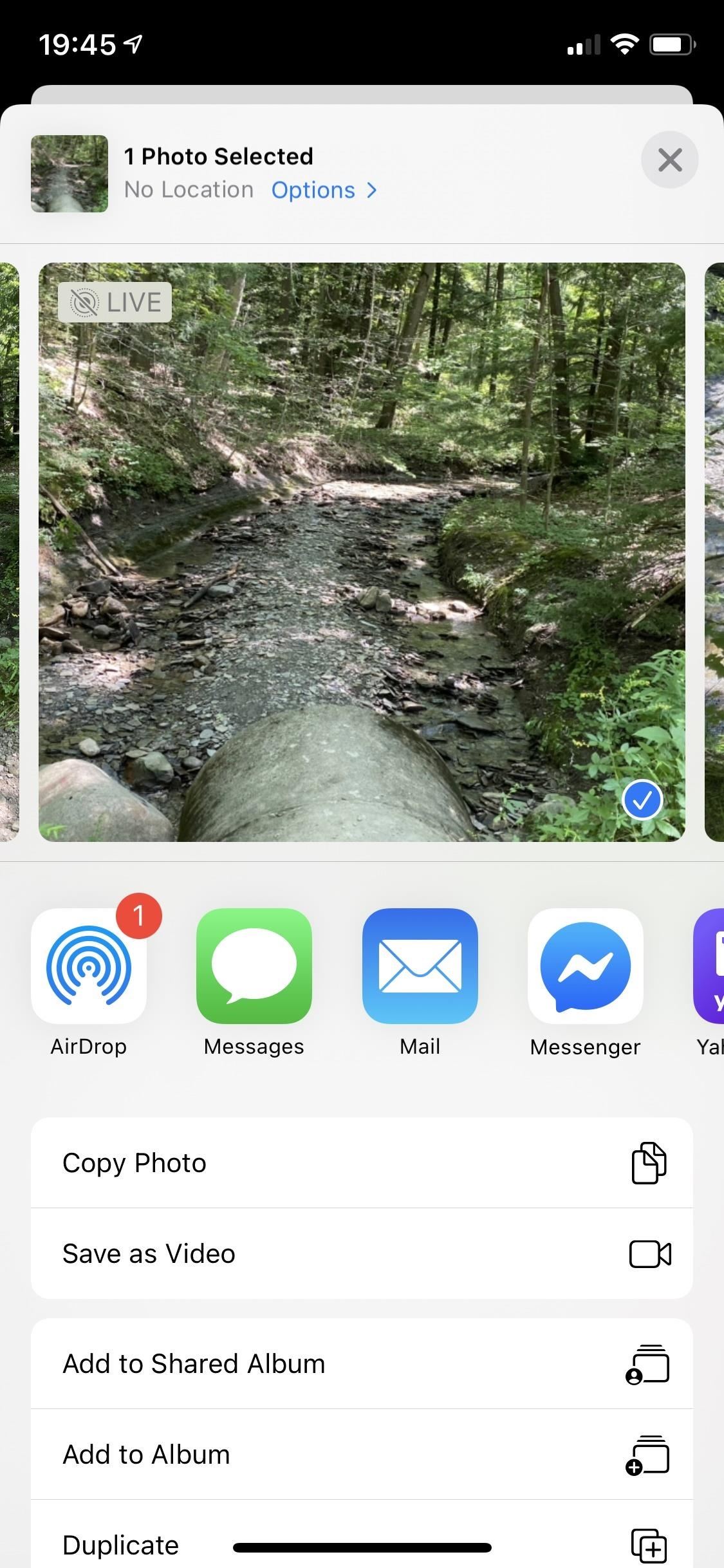 Don't Want to Share the 'Live' Part of a Live Photo from Your iPhone? Do This