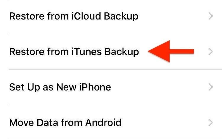 How to Downgrade iOS 13 Back to iOS 12.4.1 on Your iPhone Using iTunes or Finder