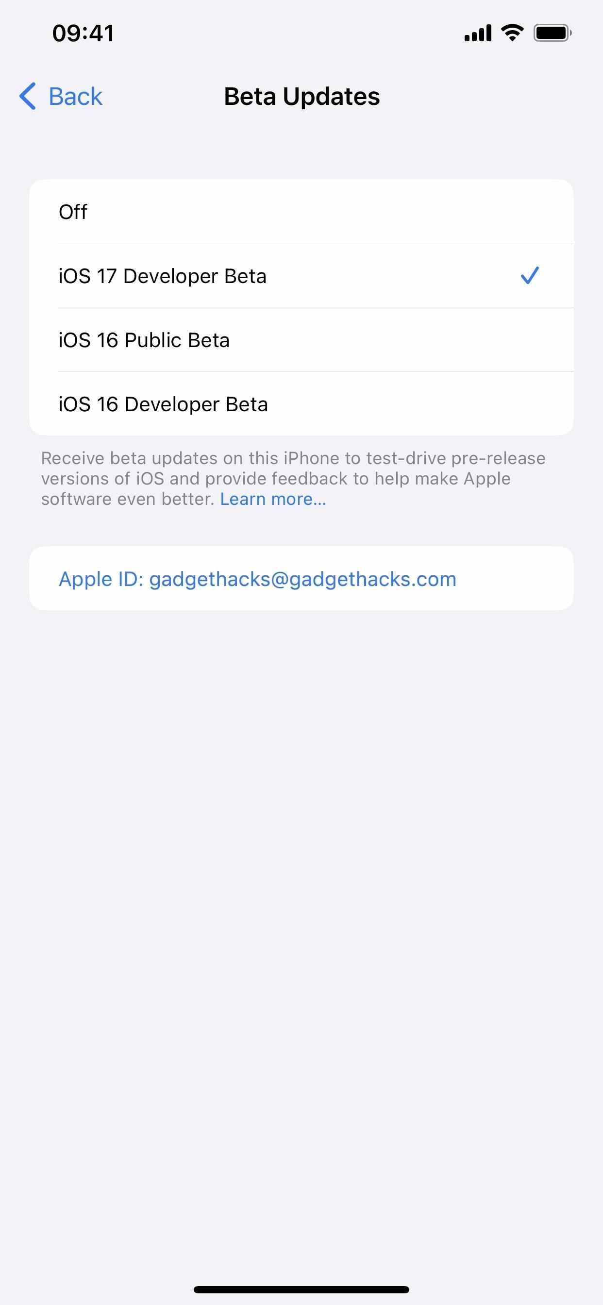 How to Download and Install iOS 17.5 Beta on Your iPhone — And Try New Features Before Everyone Else