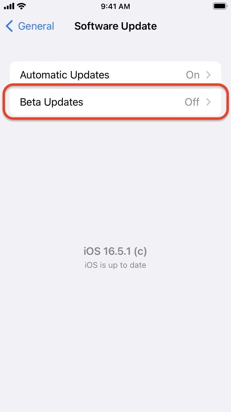 How to Download and Install iOS 17.5 Beta on Your iPhone — And Try New Features Before Everyone Else