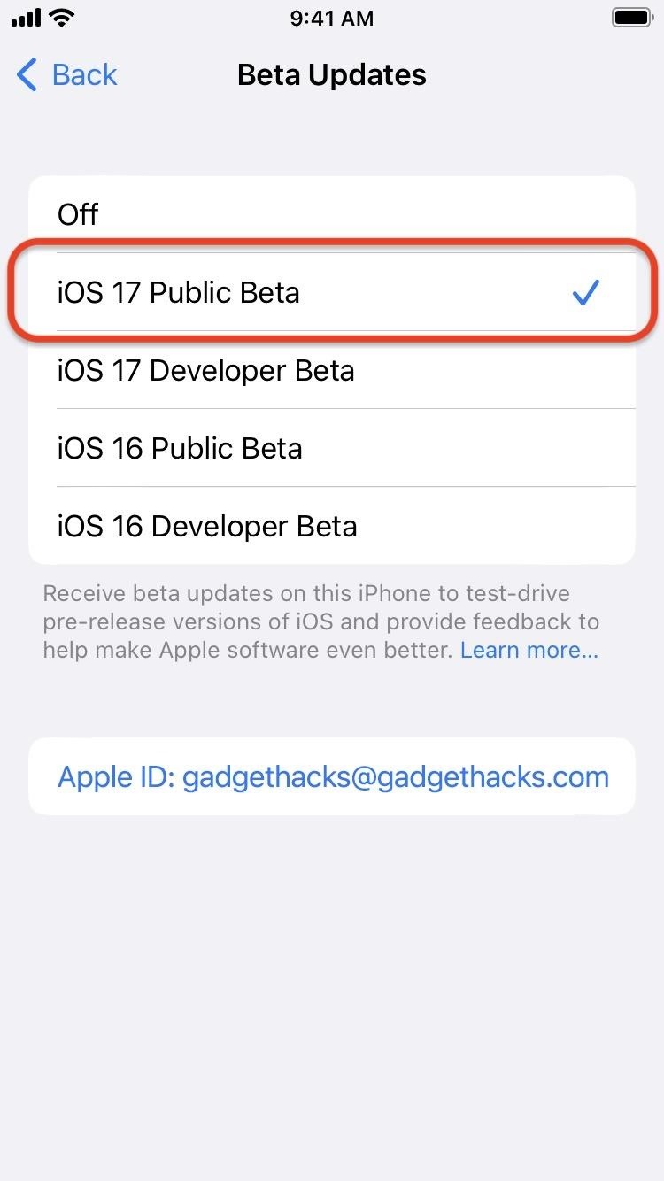 How to Download and Install iOS 17.5 Beta on Your iPhone — And Try New Features Before Everyone Else