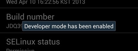 How to Enable the Hidden Developer Options on Your Samsung Galaxy S4