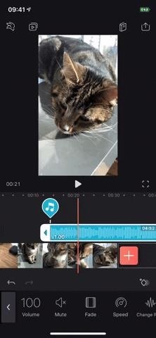 Everything You Need to Know About Adding & Editing Audio for Videos in Enlight Videoleap for iPhone