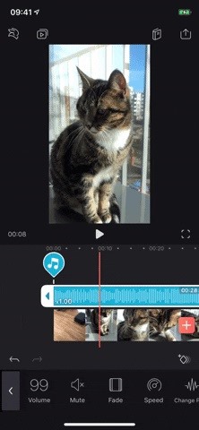 Everything You Need to Know About Adding & Editing Audio for Videos in Enlight Videoleap for iPhone