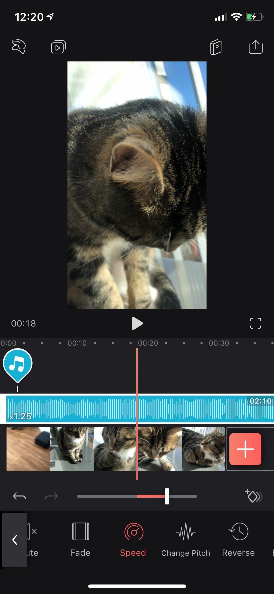 Everything You Need to Know About Adding & Editing Audio for Videos in Enlight Videoleap for iPhone