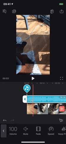 Everything You Need to Know About Adding & Editing Audio for Videos in Enlight Videoleap for iPhone