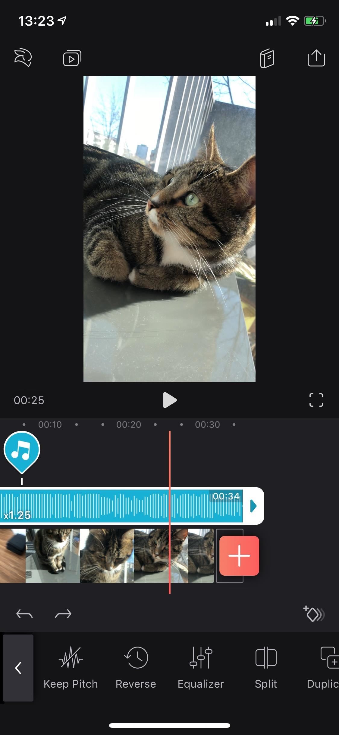 Everything You Need to Know About Adding & Editing Audio for Videos in Enlight Videoleap for iPhone