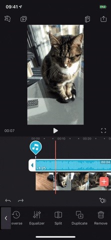 Everything You Need to Know About Adding & Editing Audio for Videos in Enlight Videoleap for iPhone