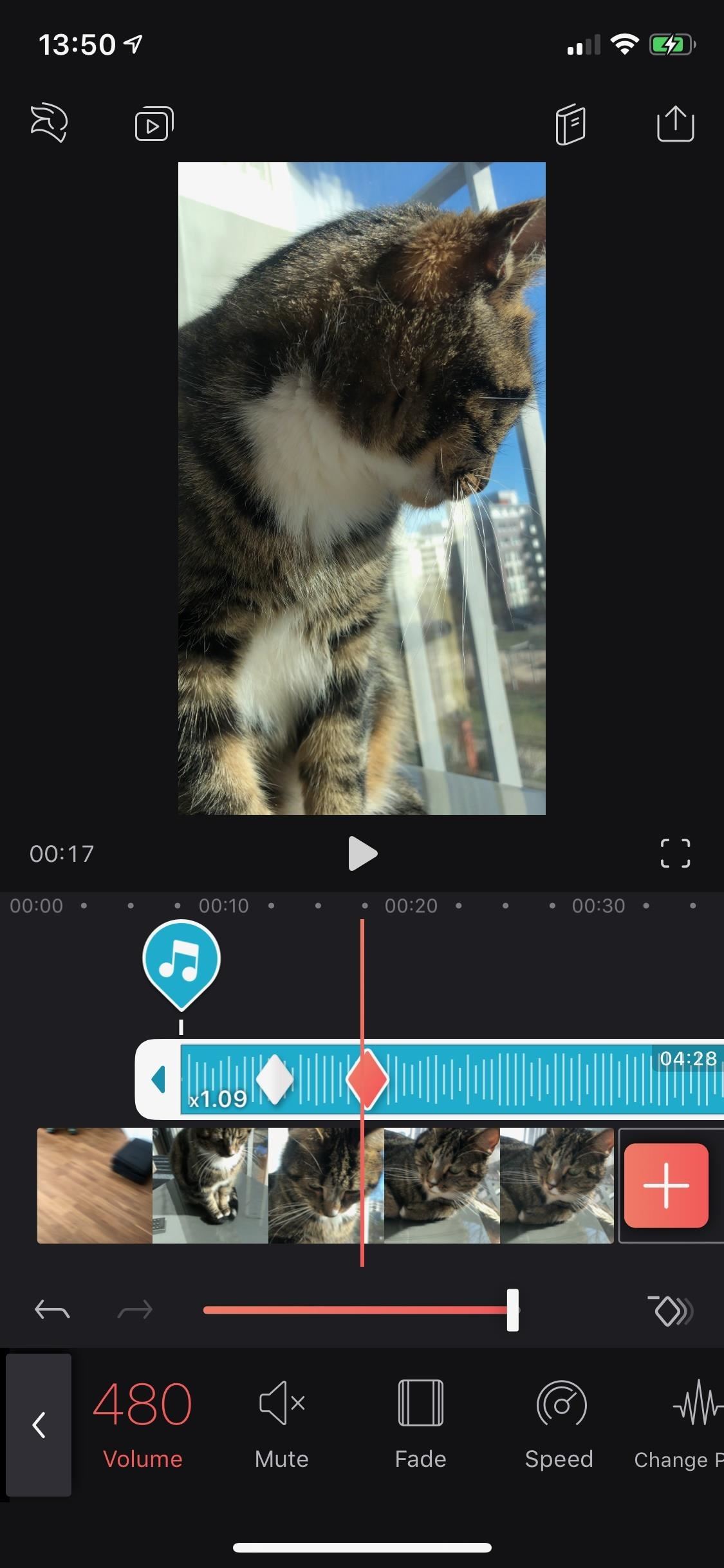 Everything You Need to Know About Adding & Editing Audio for Videos in Enlight Videoleap for iPhone