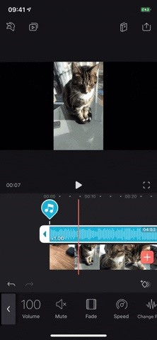 Everything You Need to Know About Adding & Editing Audio for Videos in Enlight Videoleap for iPhone