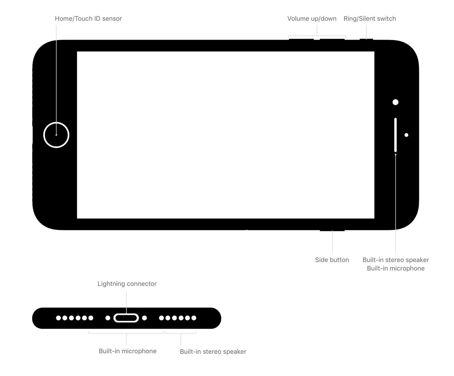 Everything You Need to Know About the iPhone 8 & 8 Plus