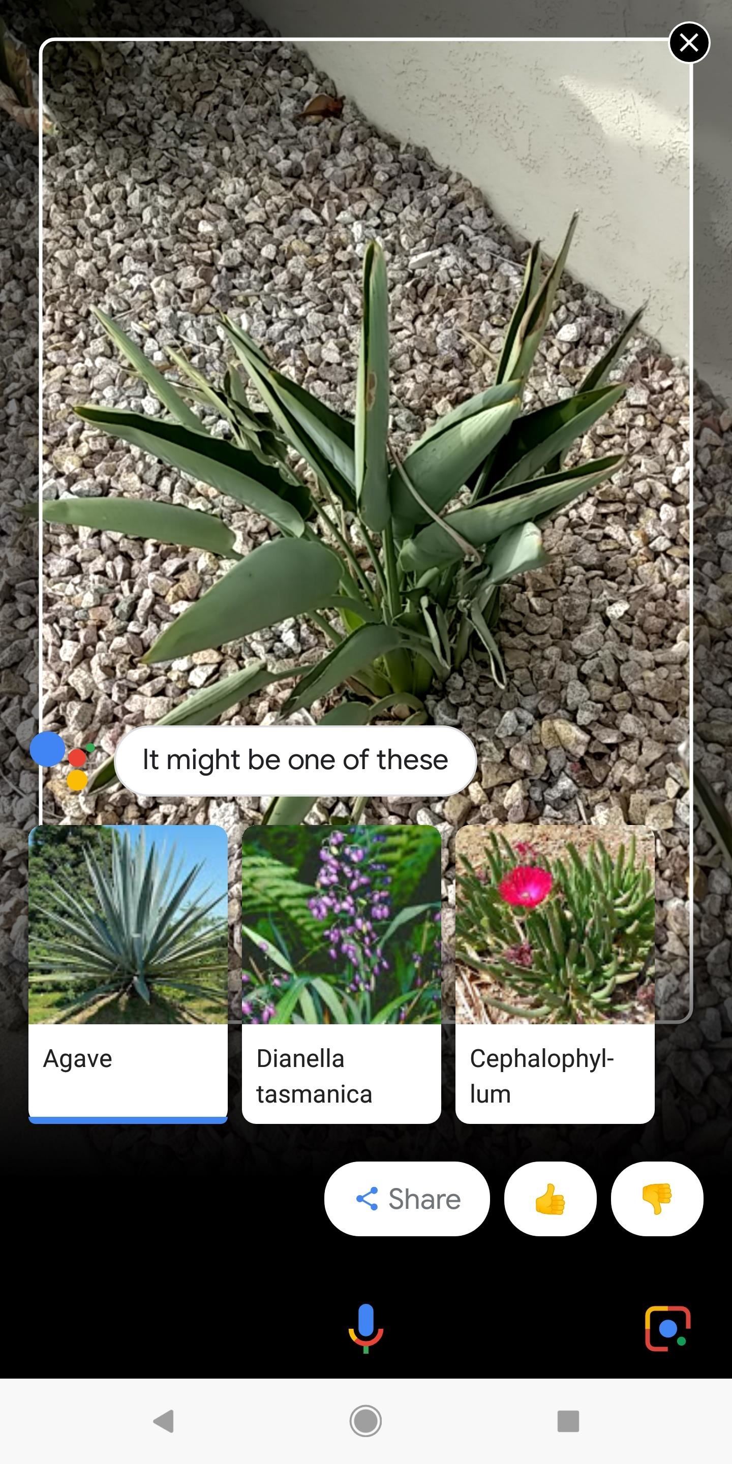 Everything You Should Know About Google Lens on the Pixel & Pixel 2