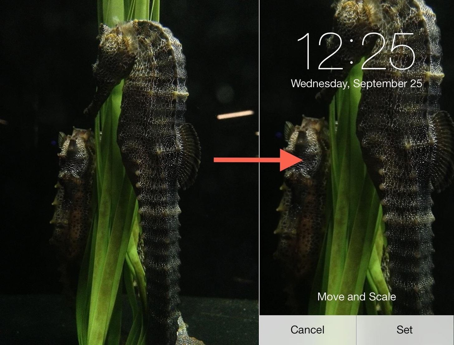 Fixing iOS 7 Wallpaper Woes: How to Scale, Crop, Align, & Design the Perfect iPhone Background