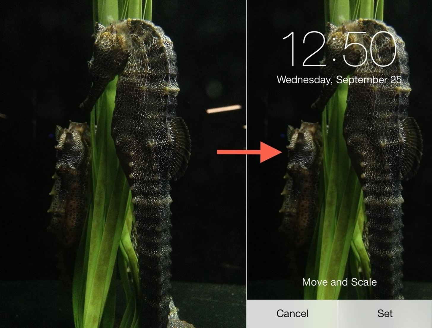 Fixing iOS 7 Wallpaper Woes: How to Scale, Crop, Align, & Design the Perfect iPhone Background