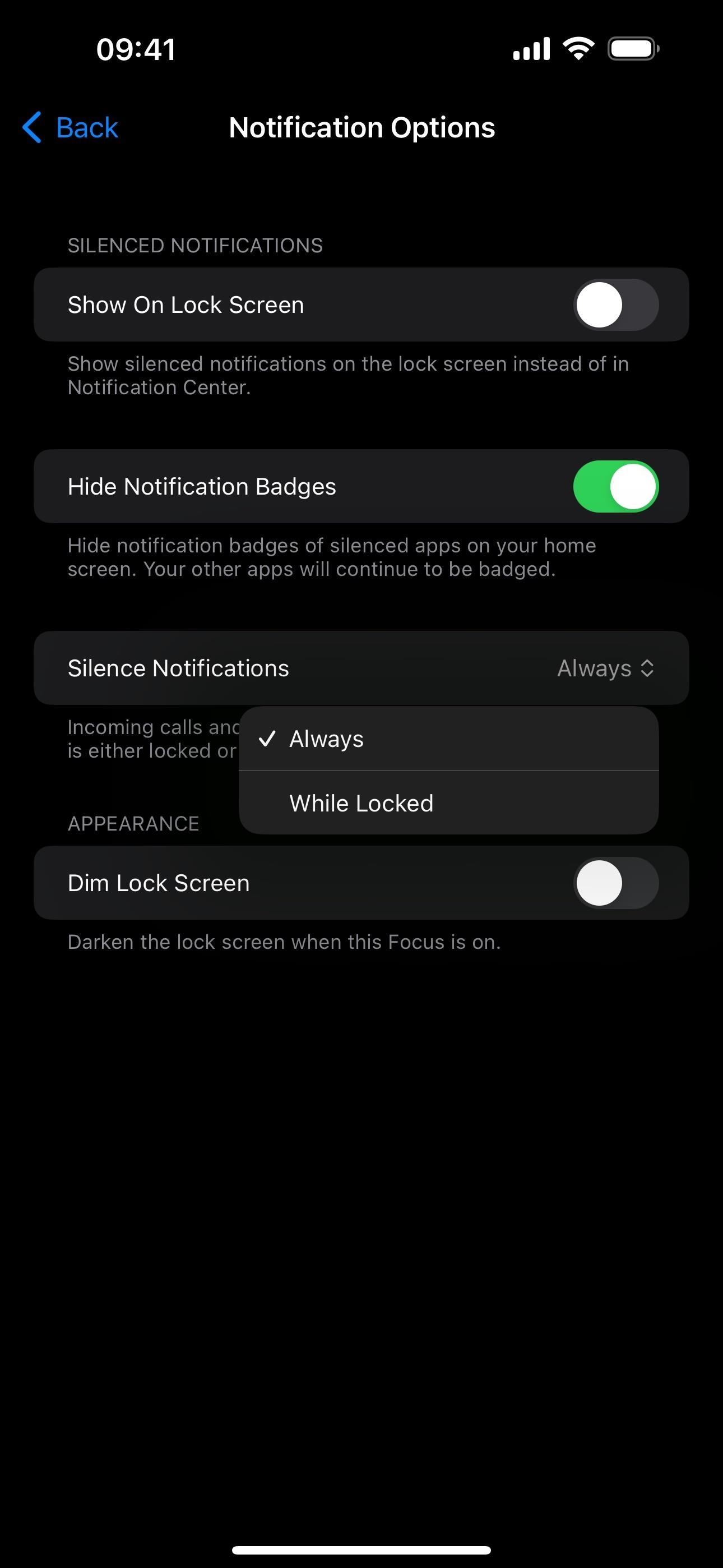 Focus Profiles Will Change How You Use Your iPhone — Here's How to Set Them Up for Distraction-Free Experiences