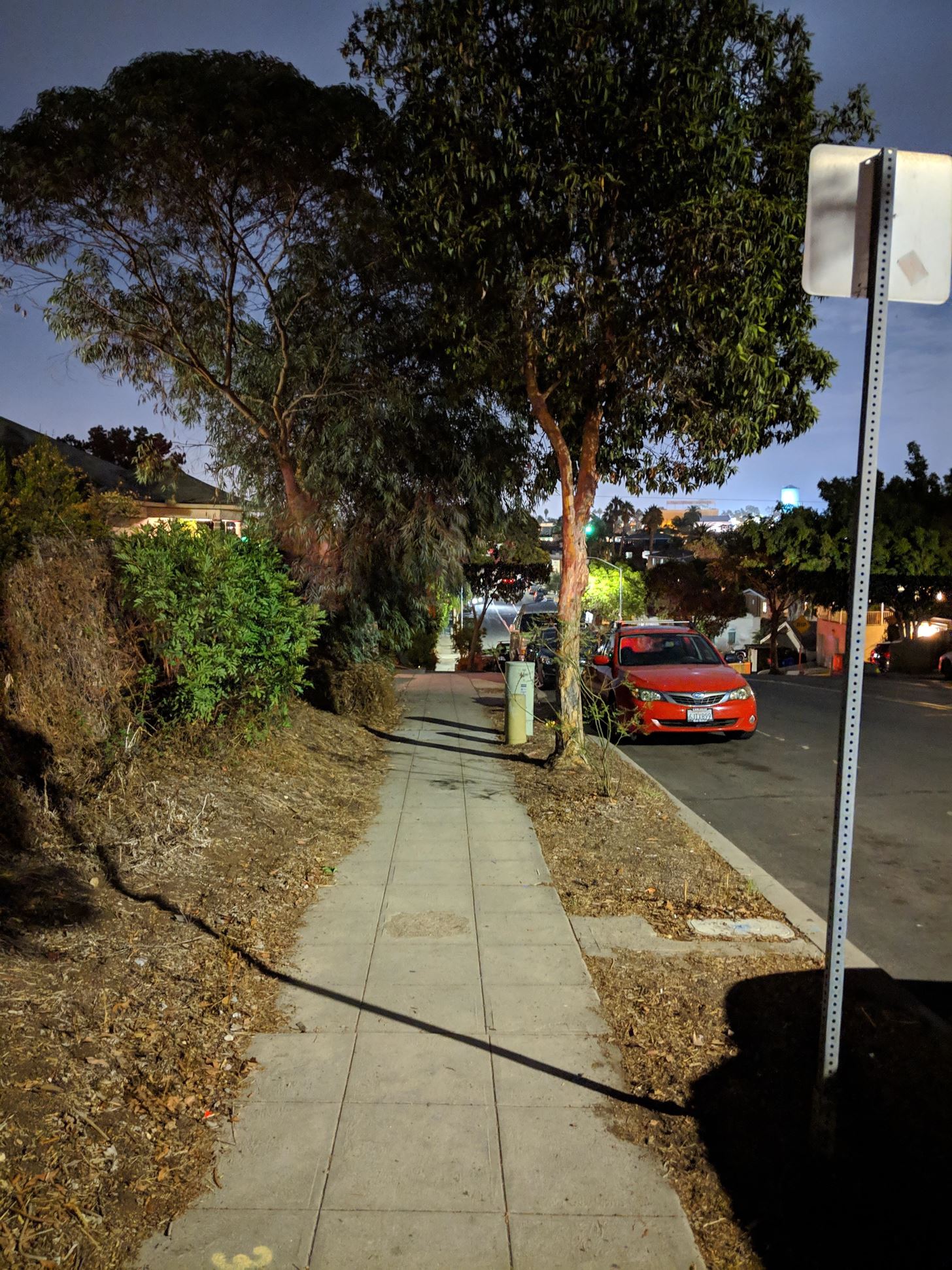 Google's Night Sight Camera Is Downright Amazing