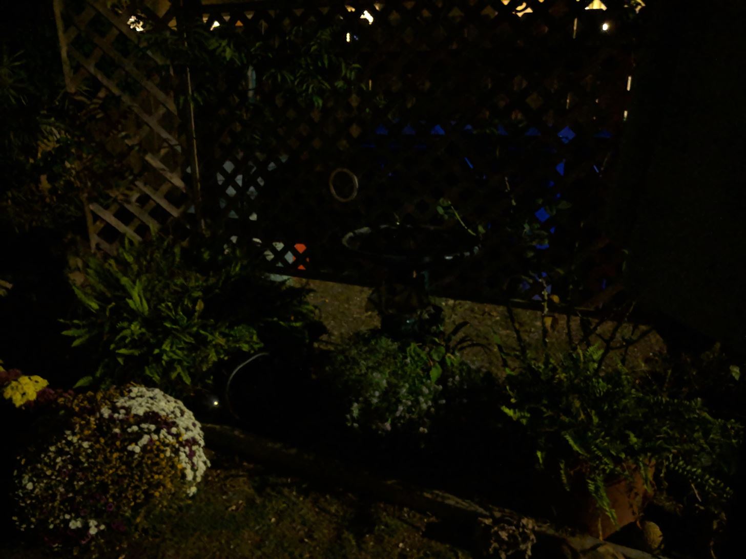 Google's Night Sight Camera Is Downright Amazing