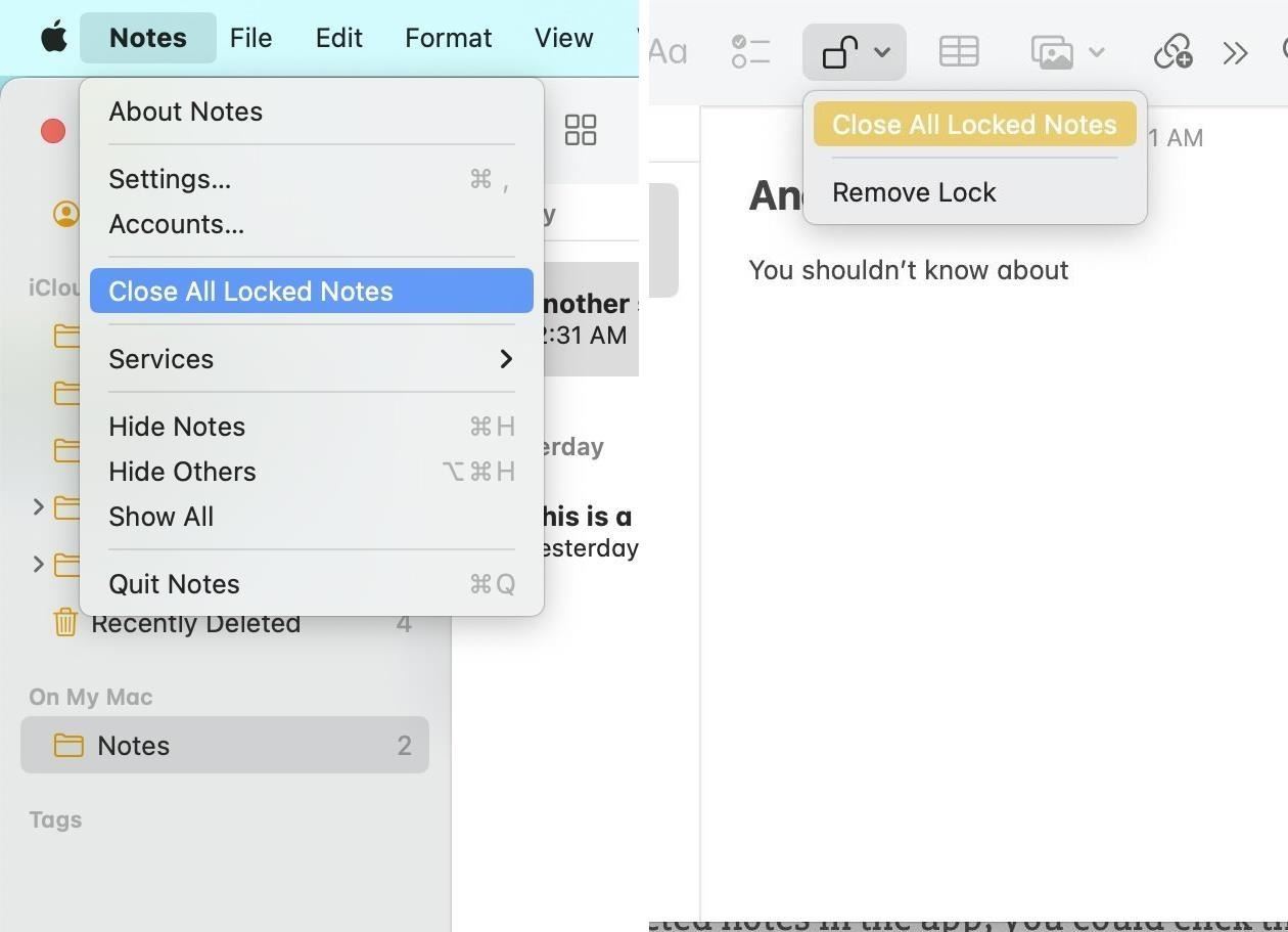 If You Keep Valuable Information in Apple Notes, You Need to Read This