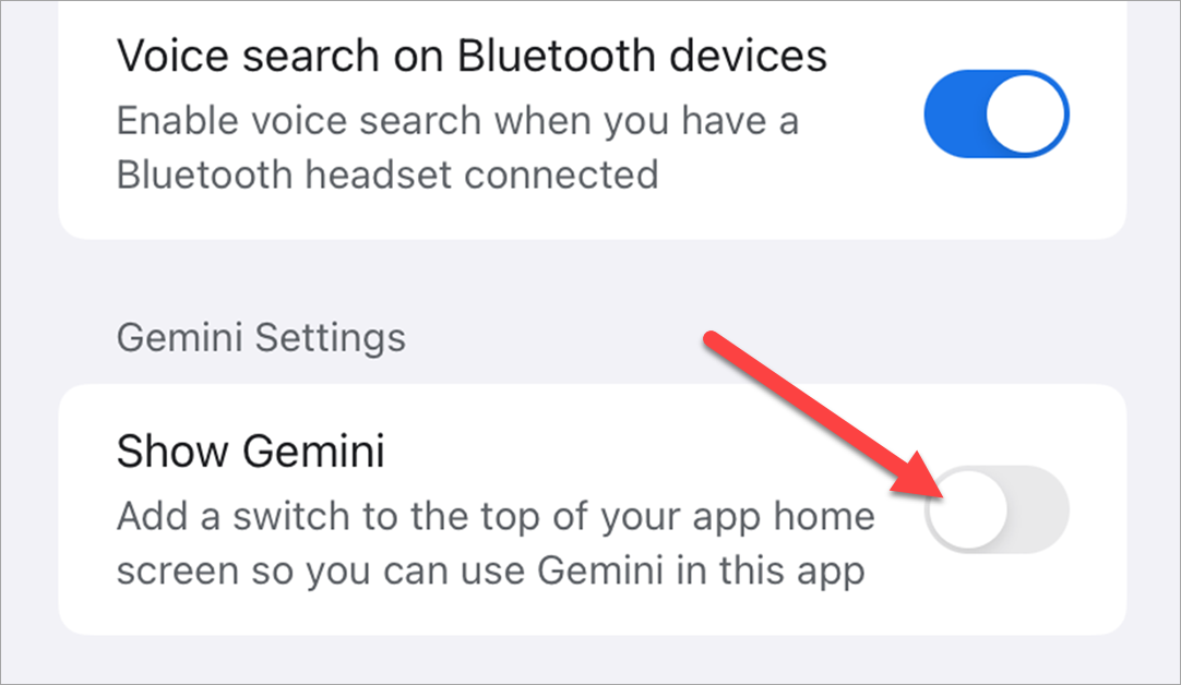 Gemini option in the Google app settings on iPhone.