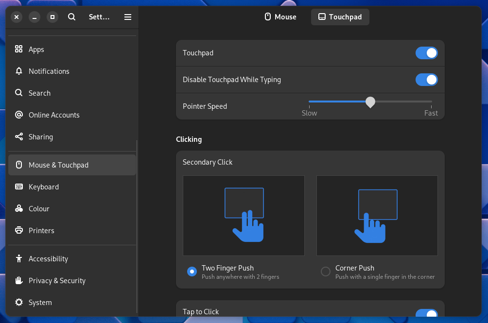 The touchpad settings in the Settings app