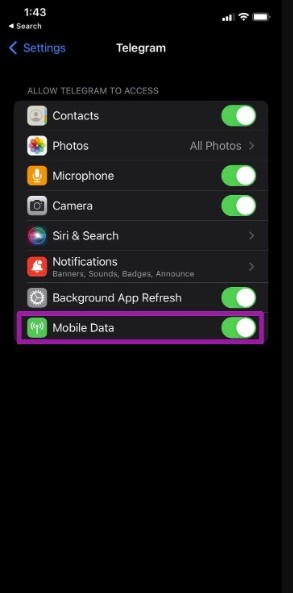 Enable Mobile Data for the Telegram app on iPhone