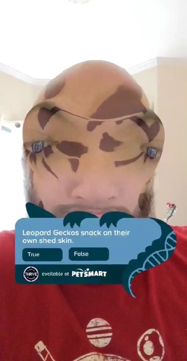 Morph into a Gecko & Learn About Reptiles with PetSmart's Snapchat AR Lens